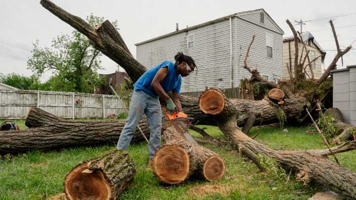 Fewer trees post-tornado could make summer in north St. Louis hotter — and more deadly