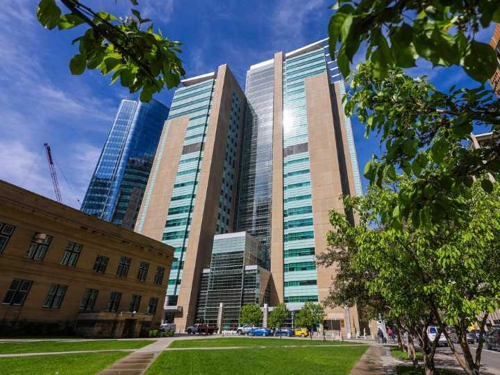 Calgary dentist pleads guilty to defrauding two insurance companies