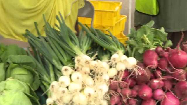 Gray Street Farmers Market opens in downtown Louisville for 2025 season