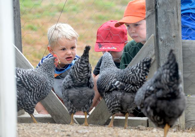 Boulder County hosts Barnyard Critter Day