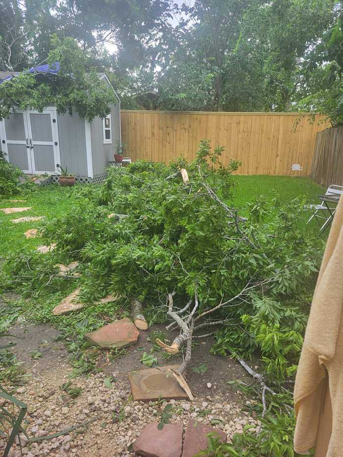 Houston woman can’t get tree removal that damaged her shed during derecho