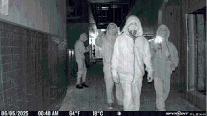Group of suspects vandalize Weber County elementary school under construction