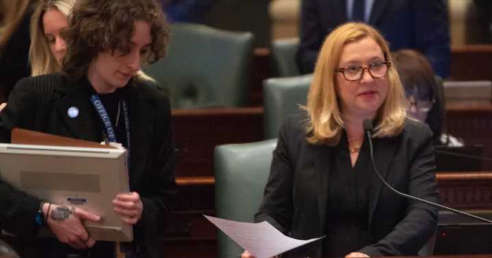 Amid uncertainty in Washington, Illinois lawmakers pass slimmed-down Medicaid package – Shaw Local