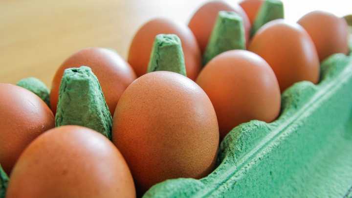 Salmonella outbreak linked to eggs sold in Illinois, Indiana leaves 79 sickened