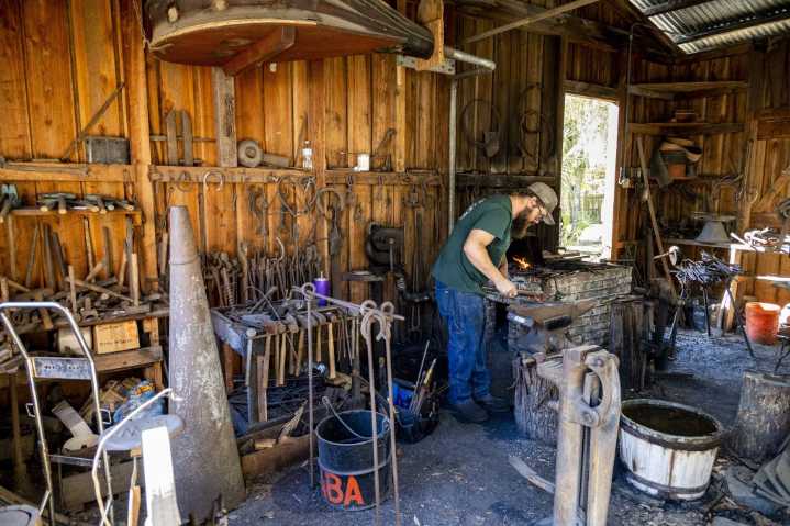Volusia County things to do, starting June 6