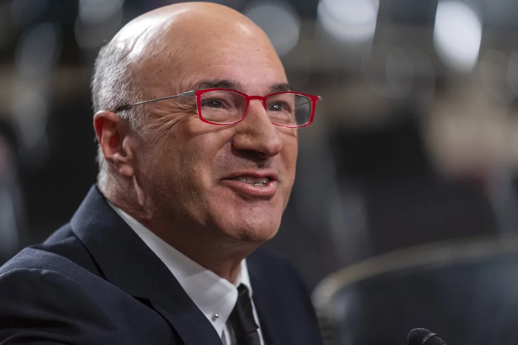Kevin O’Leary says Tesla stock owners are ‘used to the chaos’