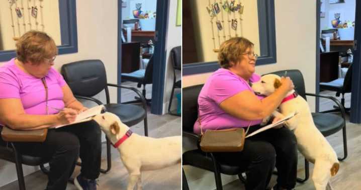 Sweet shelter dog senses she’s being adopted and embraces new mom