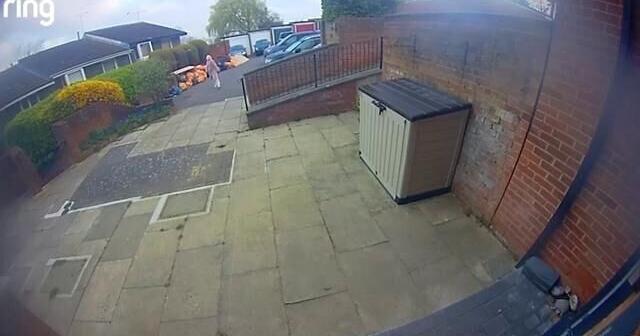 Dive-bombing buzzard forces school to ban outdoor play