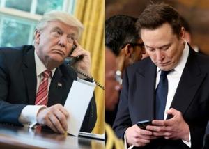 From allies to enemies: the cost of a Musk