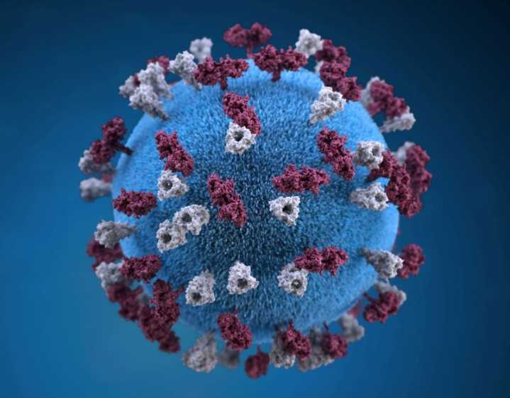 Canada's Ontario province reports death of child from measles
