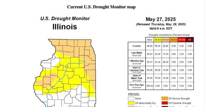 Drought concerns rise in northern Illinois as precipitation falls short