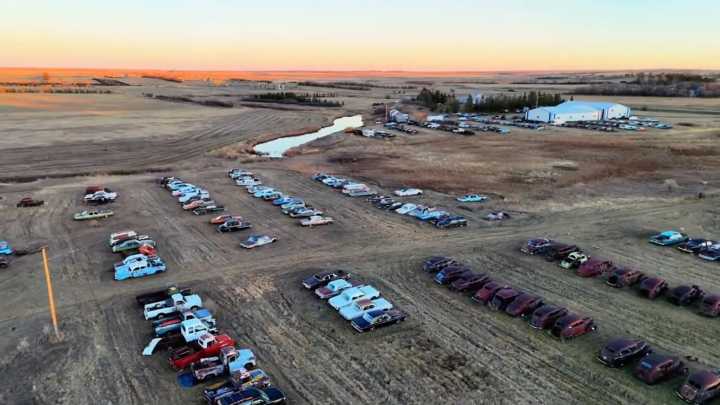Field of Dreams car auction this weekend in Epping