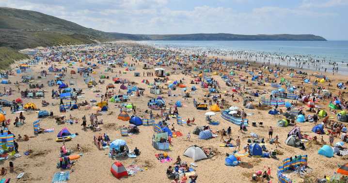 Devon beaches where you can take your dog this summer