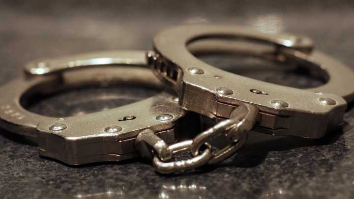 Warminster man charged with drowning dog, police say