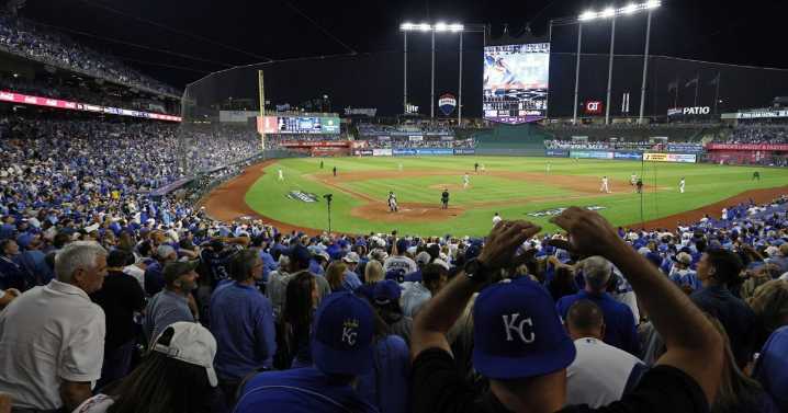 Attorney: Anaconda woman concocts absurd divorce tale around Kansas City Royals
