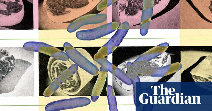 Don’t rinse raw chicken: nine food safety tips from microbiologists