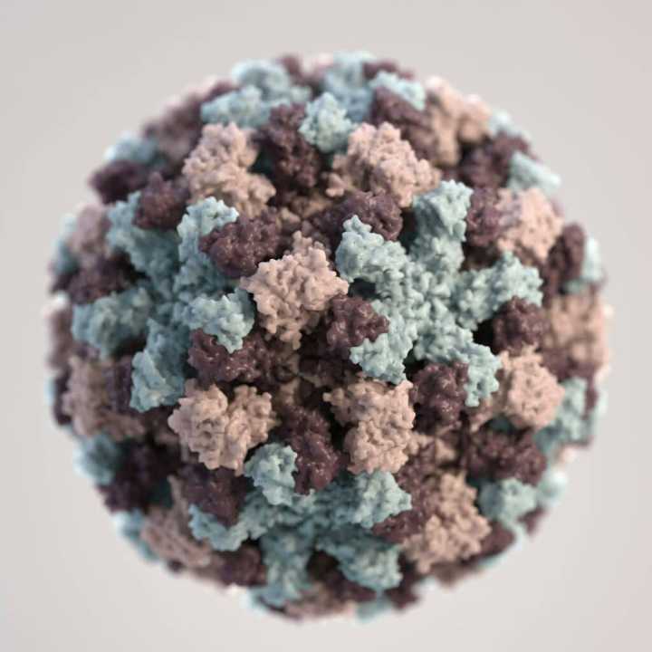 C. diff and Foodborne Illness: Understanding the Risks and Realities
