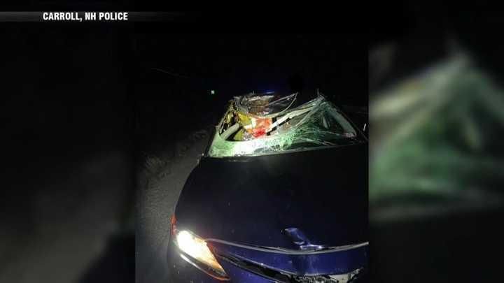 Two uninjured after crashing into moose in New Hampshire