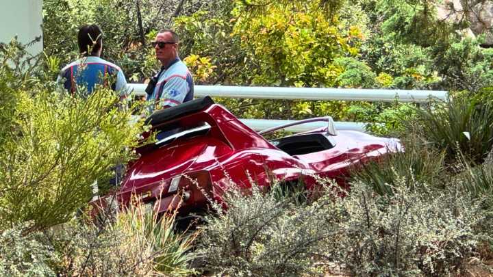 Autopia car stops in bushes after derailing at Disneyland