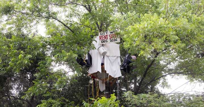 Elderly man builds tree house to protest eviction from state