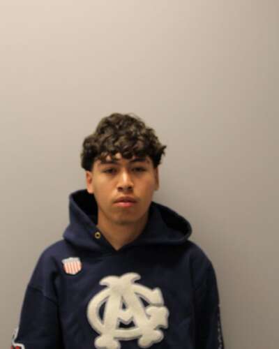 Des Plaines teen arrested after shots fired at vehicle, police say