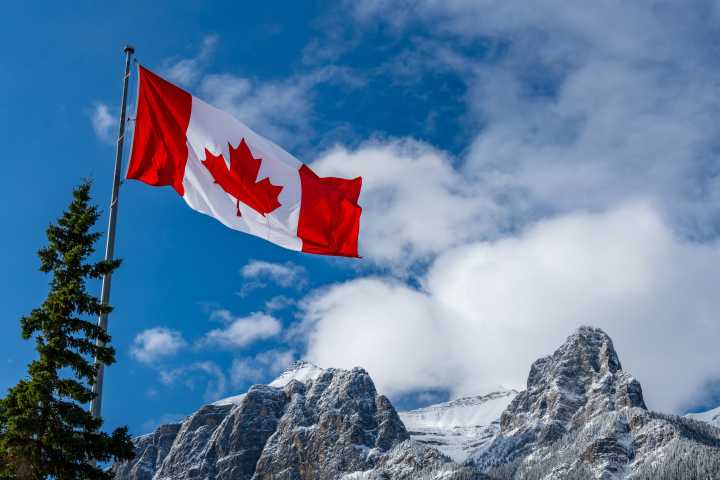 Canada's Beloved National Park Disappoints Visitors With Minor Punishment On Guest For Using Banned Device To Harass Wildlife