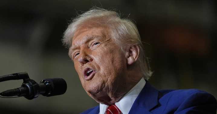 Trump pardons South Florida divers who freed 19 sharks from fishing line