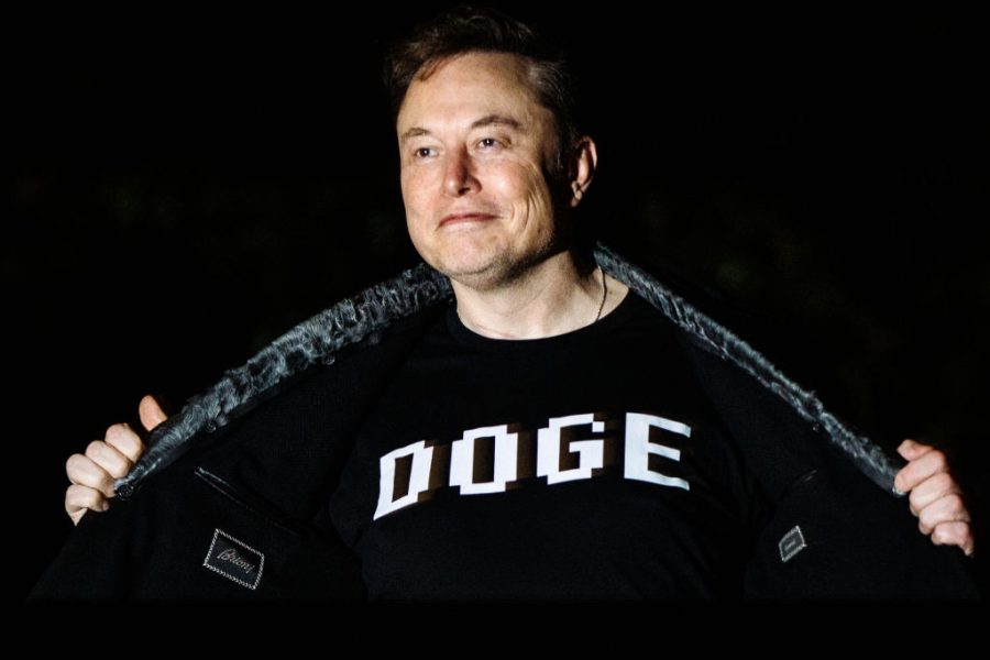 Elon Musk was doomed to fail with DoGE