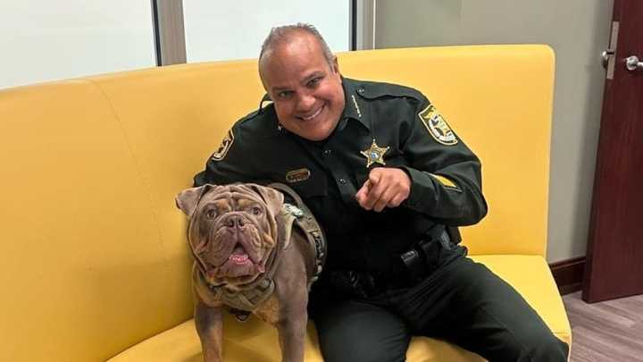 Florida sheriff arrested in $21.6M gambling ring, faces racketeering charges