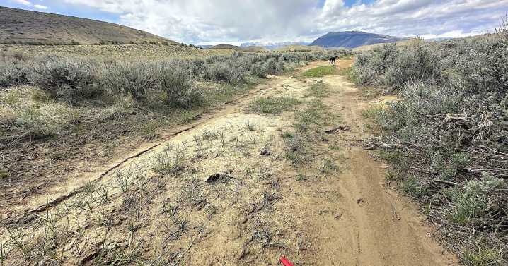 State biologists warned of wildlife conflicts at proposed shooting complex site. Wyoming approved the location anyway.