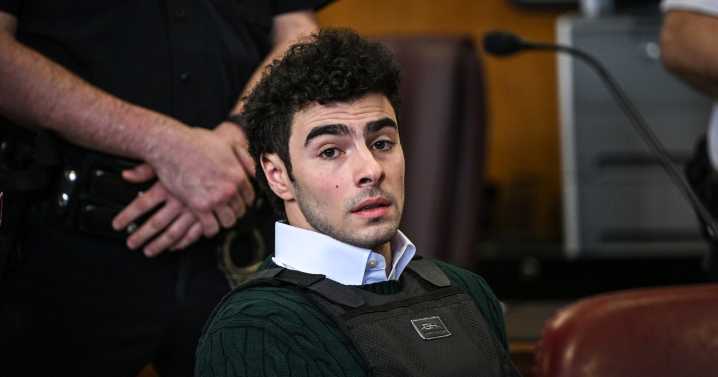 Luigi Mangione's alleged diary entries released in new court filing
