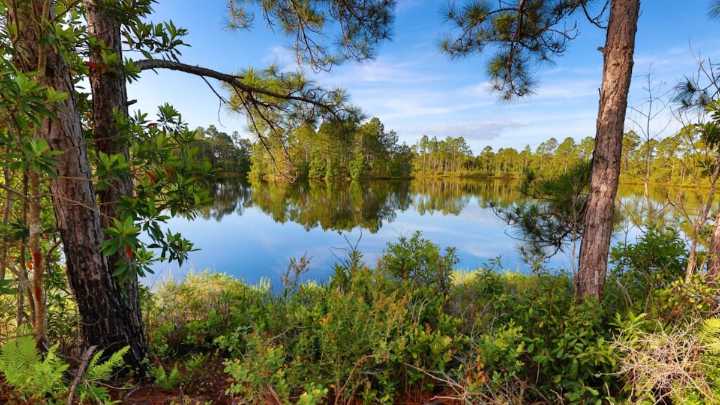 One Florida community defended protected land. Orlando’s caved