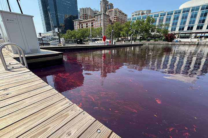 2,000-gallon diesel spill stains part of Baltimore waterfront