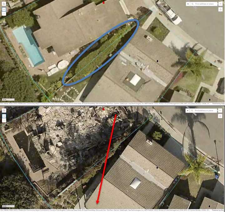 California plan to ban most plants within 5 feet of homes for wildfire safety overlooks some important truths about flammability