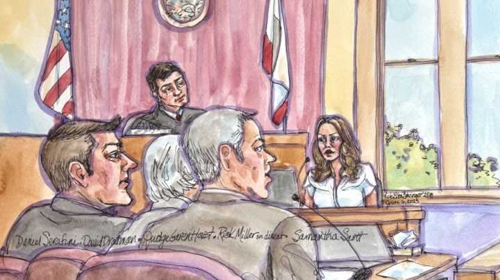 Alleged accomplice gives crucial testimony in Daniel Serafini trial