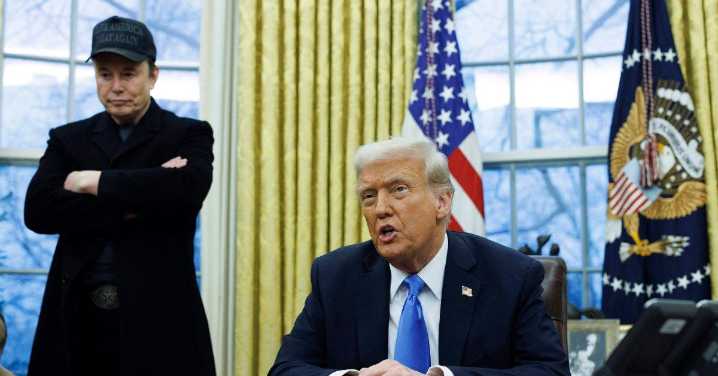 The Elon Musk Donald Trump Feud Has Been Great for Memes