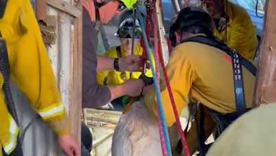 15-year-old, 2 dogs rescued from abandoned California well shaft