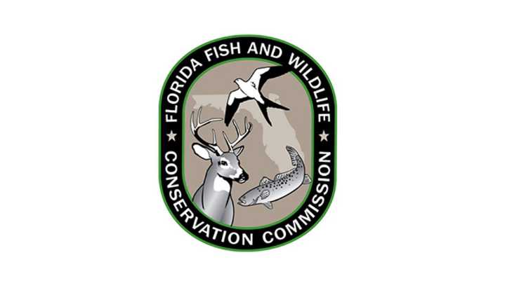 Former FWC officer says he didn't know who to call in hit