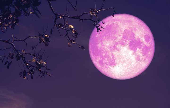 Here’s when to see the June strawberry moon