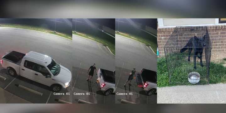 Man seen dumping dog in crate at shelter, flipping it off before driving away