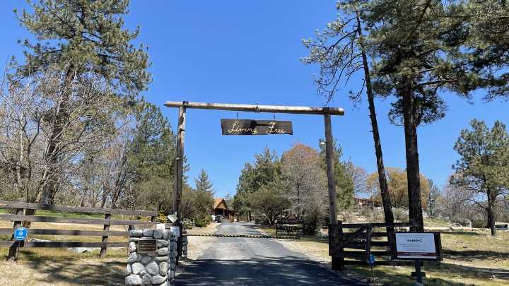 Take a ride to Idyllwild, and maybe bring home a new furry friend