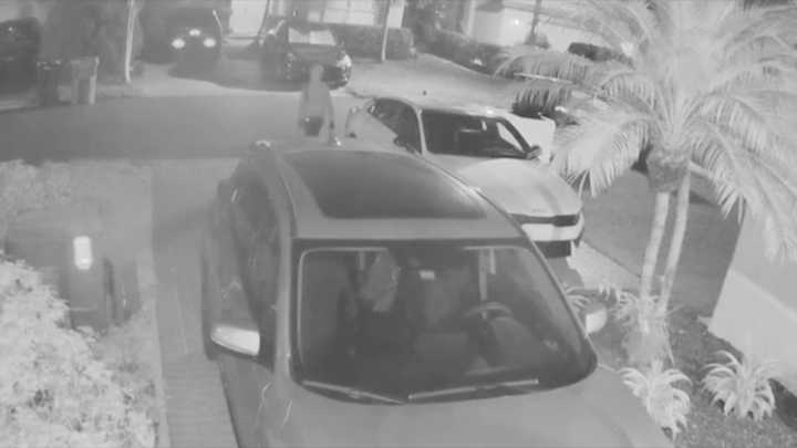 Police investigating after burglars target cars and houses in Doral