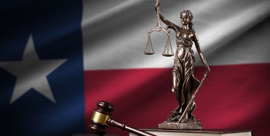 DON’T MESS WITH TEXAS: Amendment to the Regulation of Telephone Solicitation Sitting on the Gov Desk Might Make it the Next Hot State for Litigation!