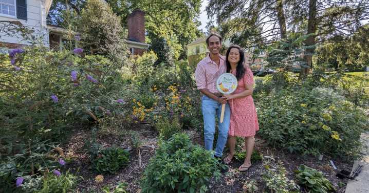 Thinking outside the garden box: Native garden contest now open in Towson