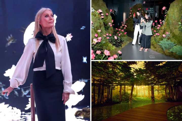 Gwyneth Paltrow slammed for lackluster 'immersive' installation