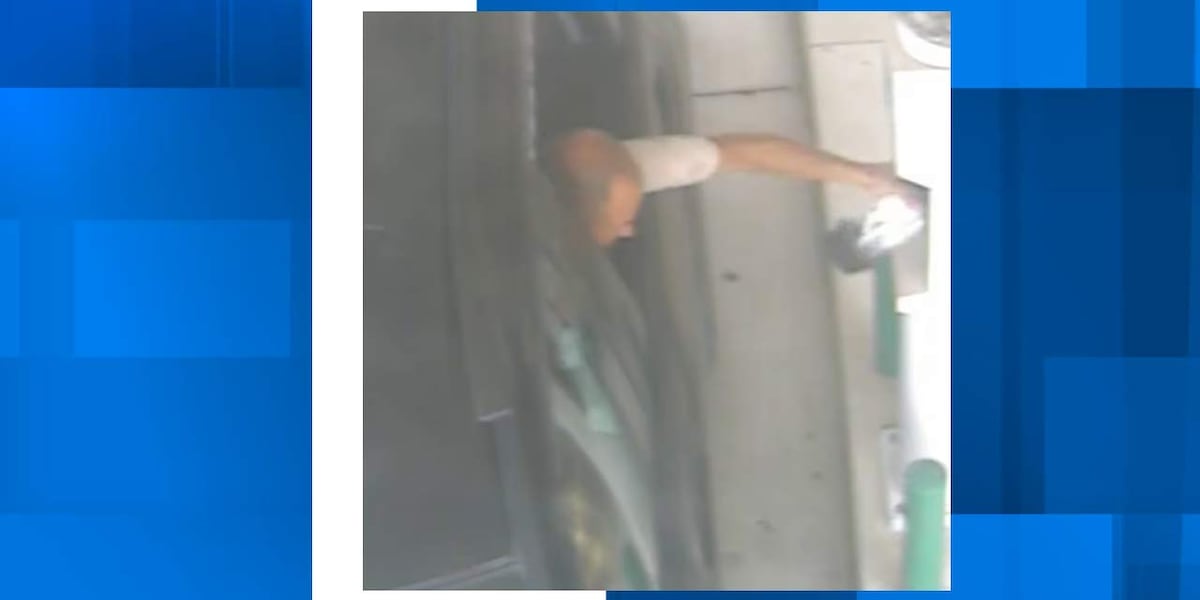 Georgetown County deputies seek help in identifying man involved in car theft