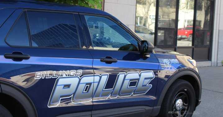 Man arrested for arson after Billings apartment fire takes life of cat