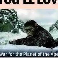 MOVIES YOU'LL LOVE