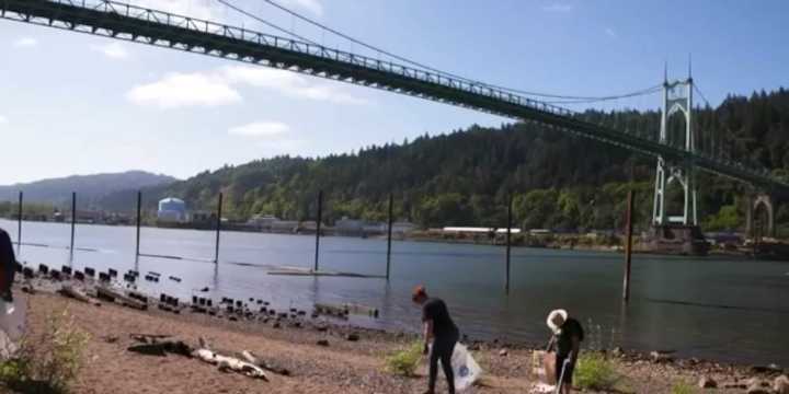 Body recovered from Willamette River near Cathedral Park, investigation underway