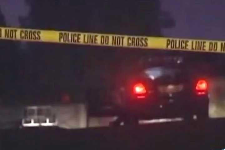 Person of Interest in Murder Case Dies by Suicide on Video Call with Police